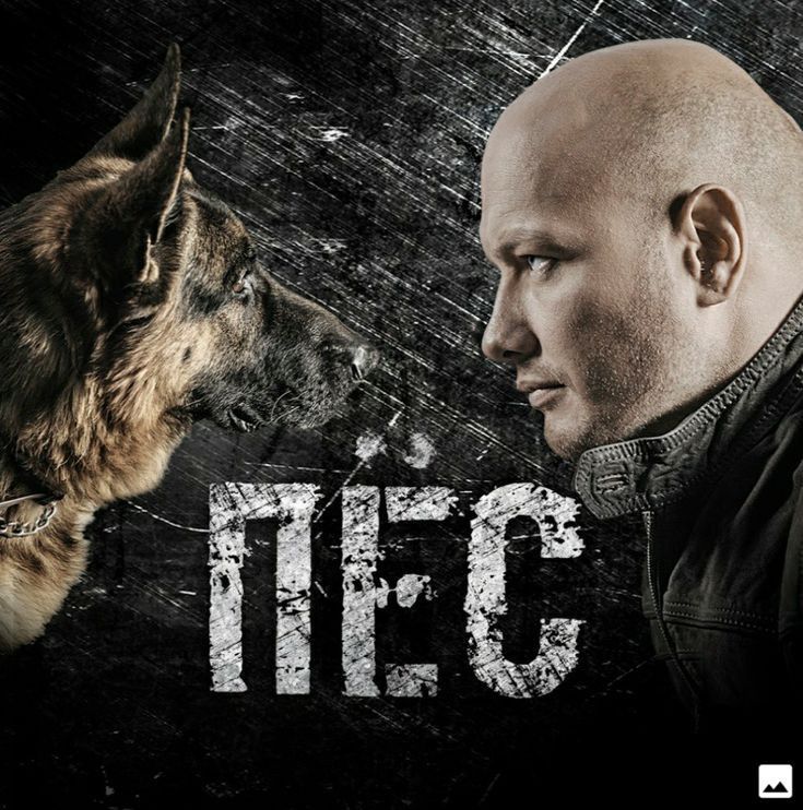 сериал Пёс (сериал, 2015) 1-7 сезон смотреть онлайн на Лордфильм